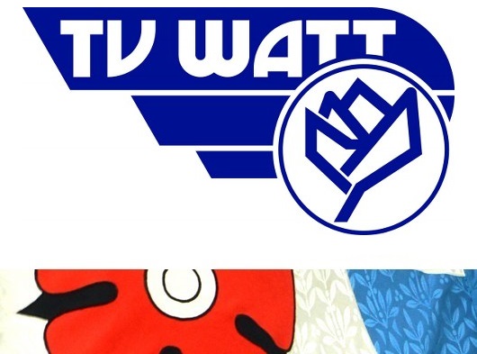 tv watt